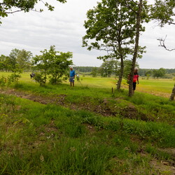 Varde Golfklub: Pink cup og Blå kugler 2025