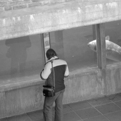 Fiskeri- og Søfartsmuseet Esbjerg.